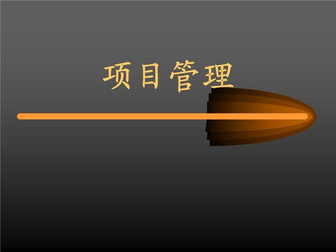 《项目管理讲义》精选ppt幻灯片.ppt 78页
